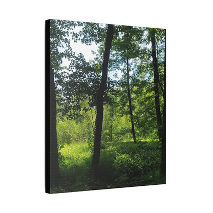 Scenic Canvas Wall Art - Nature-Inspired Home Decor, Forest Scene, Wall Hanging, Gift for Nature Lovers, Greenery Print