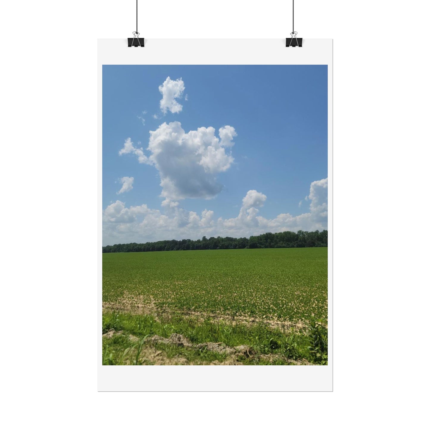 Nature Landscape Poster, Wall Art Print, Scenic Home Decor, Gift for Nature Lovers, Farmhouse Style Decoration, Office Wall Art