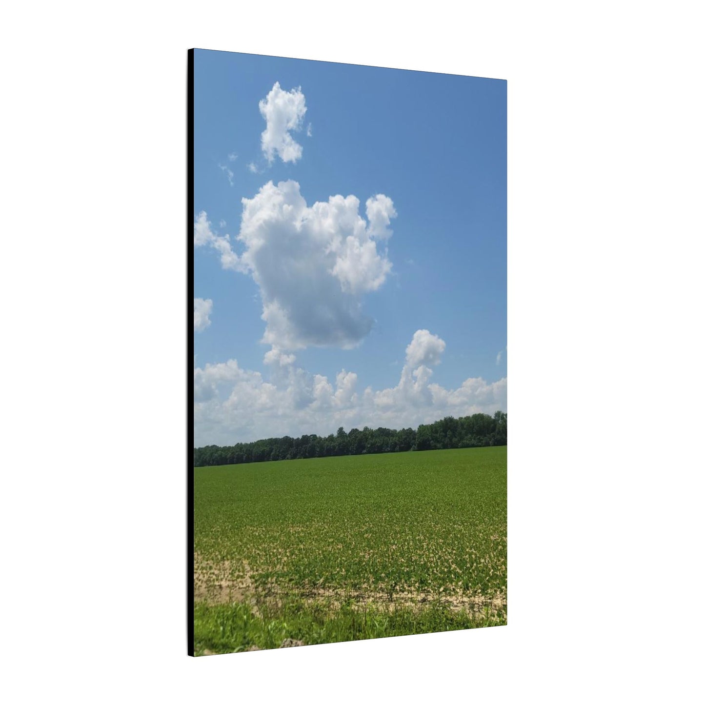 Serene Landscape Canvas Wall Art, Nature Decor for Home, Farmhouse, Gift for Nature Lovers, Rustic Wall Art, Living Room Decoration