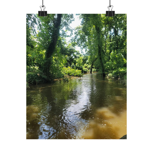 Serene Nature Wall Art, Matte Vertical Posters, Home Decor, Eco-Friendly Decor, Office Decor, Gift for Nature Lovers