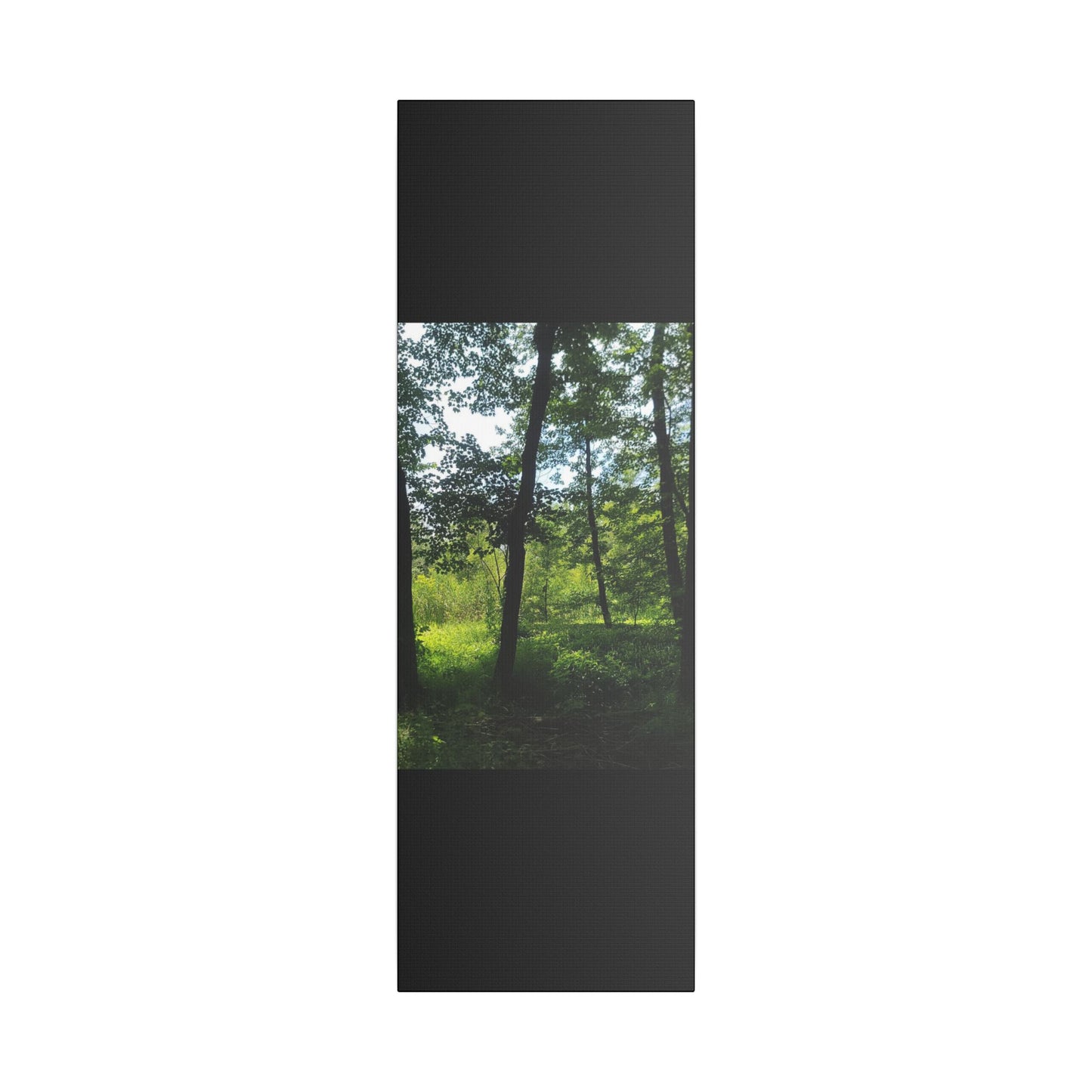 Scenic Canvas Wall Art - Nature-Inspired Home Decor, Forest Scene, Wall Hanging, Gift for Nature Lovers, Greenery Print