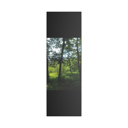 Scenic Canvas Wall Art - Nature-Inspired Home Decor, Forest Scene, Wall Hanging, Gift for Nature Lovers, Greenery Print