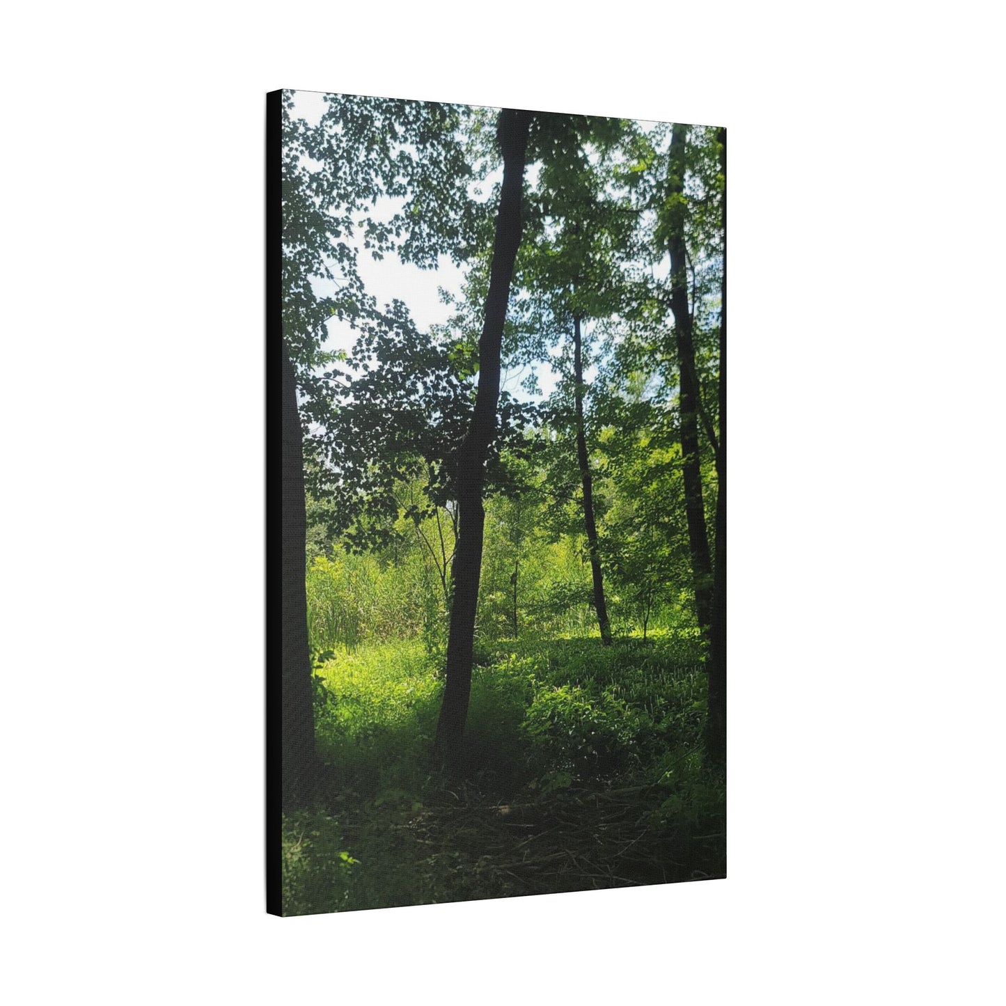 Scenic Canvas Wall Art - Nature-Inspired Home Decor, Forest Scene, Wall Hanging, Gift for Nature Lovers, Greenery Print