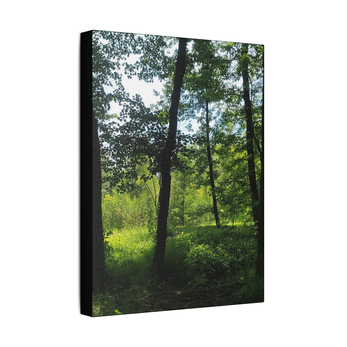 Scenic Canvas Wall Art - Nature-Inspired Home Decor, Forest Scene, Wall Hanging, Gift for Nature Lovers, Greenery Print