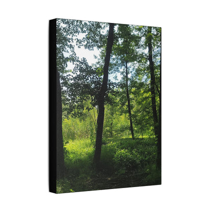 Scenic Canvas Wall Art - Nature-Inspired Home Decor, Forest Scene, Wall Hanging, Gift for Nature Lovers, Greenery Print