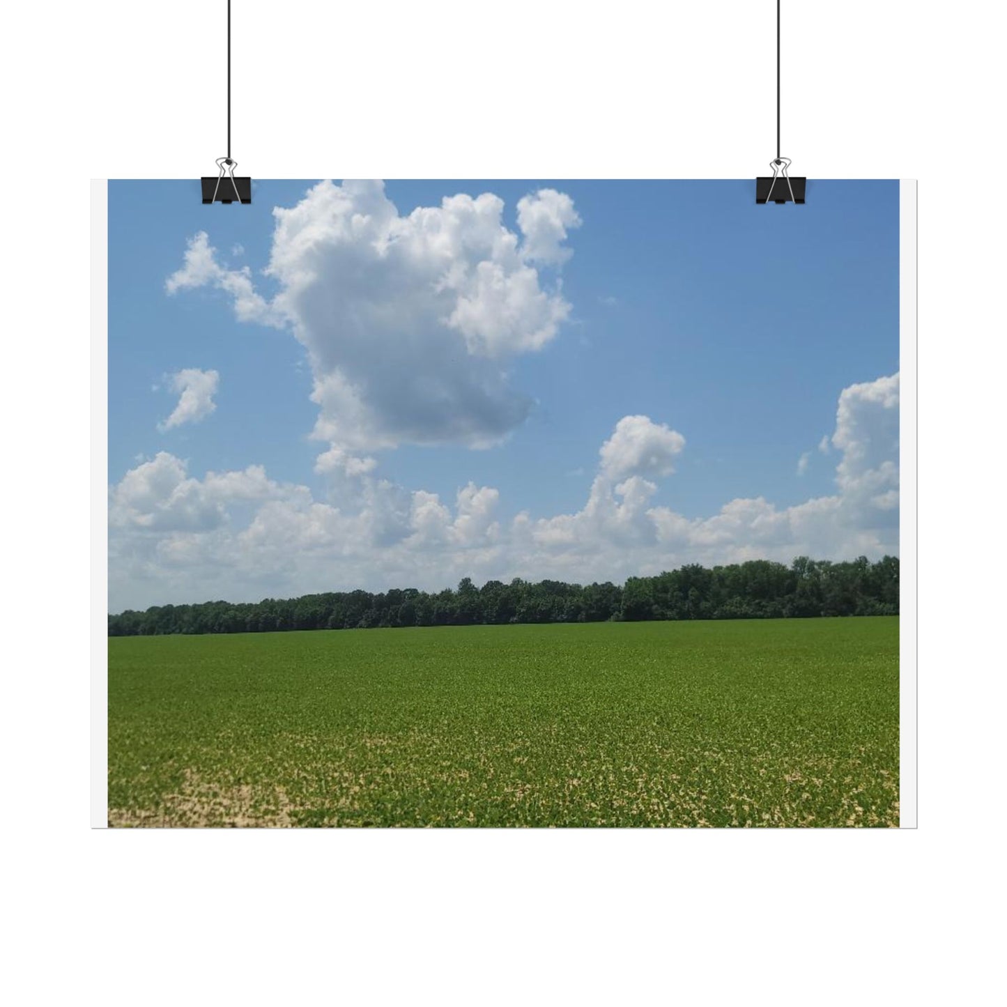 Nature Landscape Poster, Wall Art Print, Scenic Home Decor, Gift for Nature Lovers, Farmhouse Style Decoration, Office Wall Art