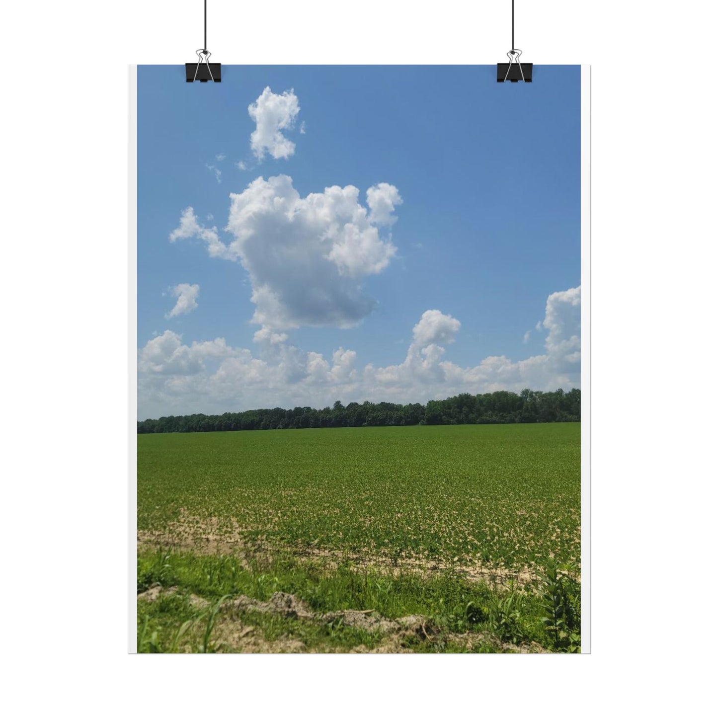 Nature Landscape Poster, Wall Art Print, Scenic Home Decor, Gift for Nature Lovers, Farmhouse Style Decoration, Office Wall Art