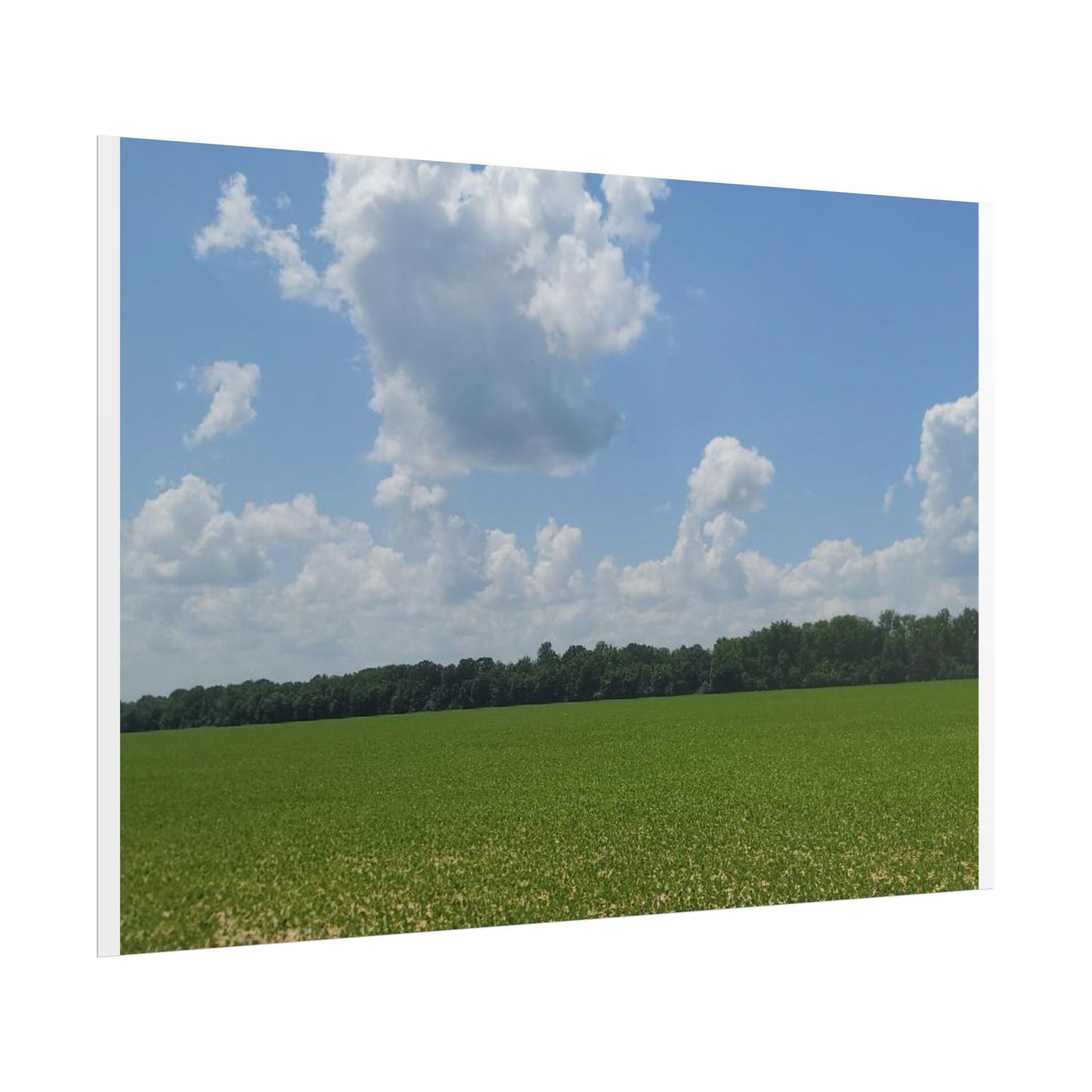Nature Landscape Poster, Wall Art Print, Scenic Home Decor, Gift for Nature Lovers, Farmhouse Style Decoration, Office Wall Art