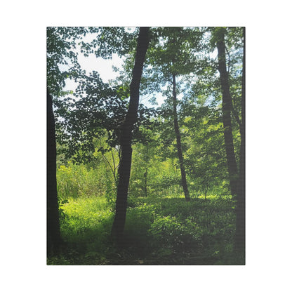 Scenic Canvas Wall Art - Nature-Inspired Home Decor, Forest Scene, Wall Hanging, Gift for Nature Lovers, Greenery Print
