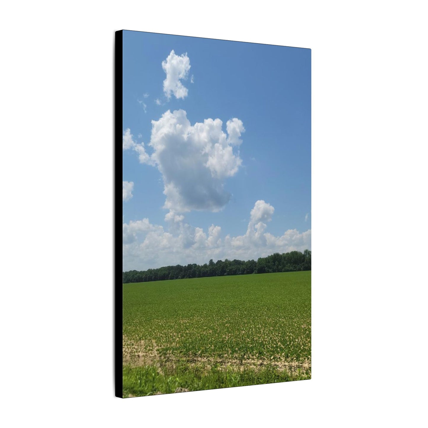 Serene Landscape Canvas Wall Art, Nature Decor for Home, Farmhouse, Gift for Nature Lovers, Rustic Wall Art, Living Room Decoration