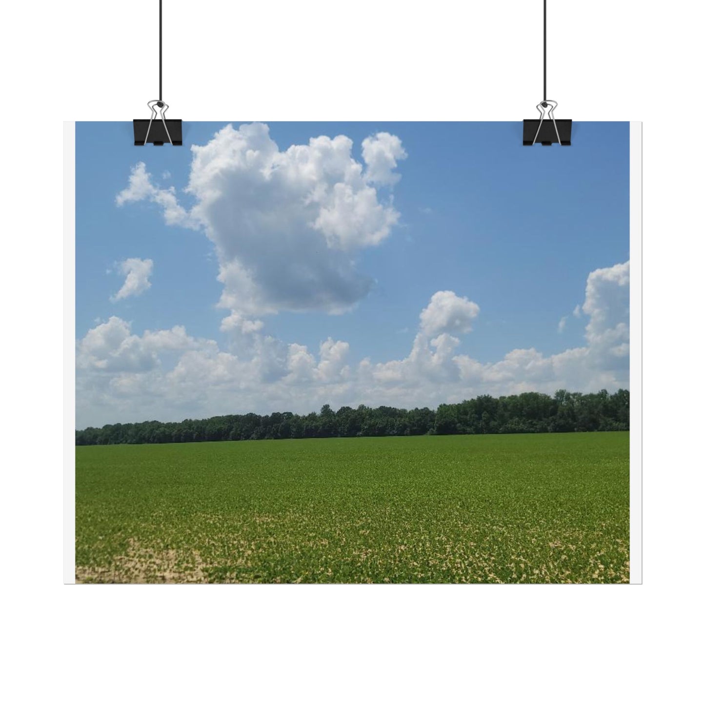 Nature Landscape Poster, Wall Art Print, Scenic Home Decor, Gift for Nature Lovers, Farmhouse Style Decoration, Office Wall Art