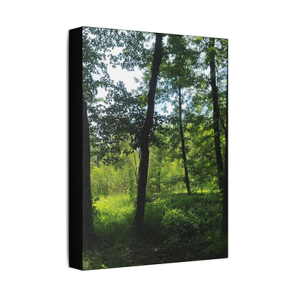 Scenic Canvas Wall Art - Nature-Inspired Home Decor, Forest Scene, Wall Hanging, Gift for Nature Lovers, Greenery Print