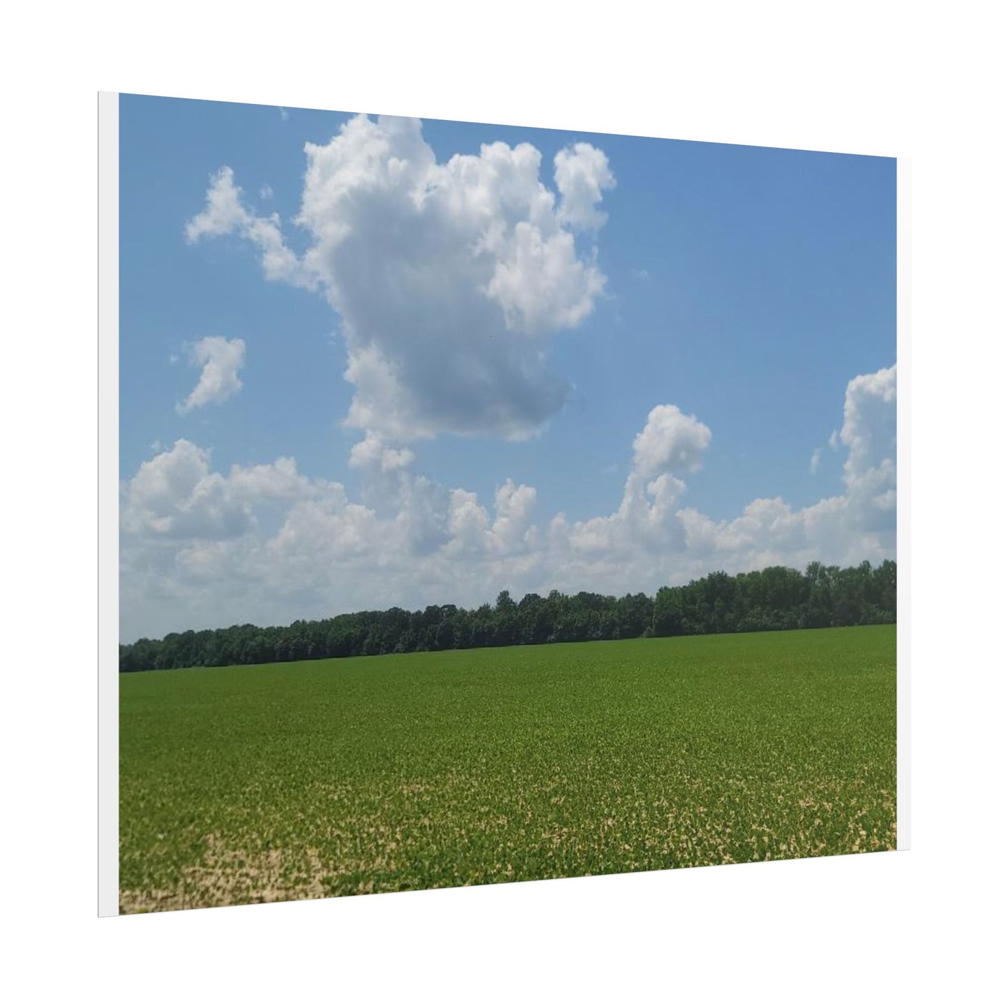 Nature Landscape Poster, Wall Art Print, Scenic Home Decor, Gift for Nature Lovers, Farmhouse Style Decoration, Office Wall Art