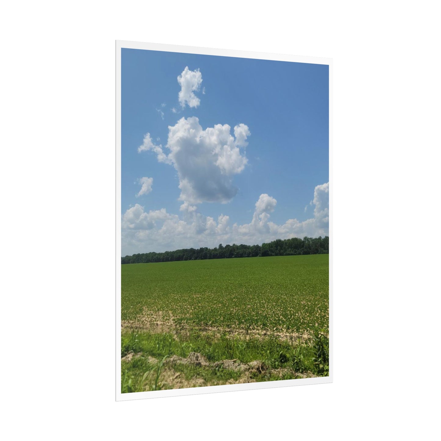 Nature Landscape Poster, Wall Art Print, Scenic Home Decor, Gift for Nature Lovers, Farmhouse Style Decoration, Office Wall Art