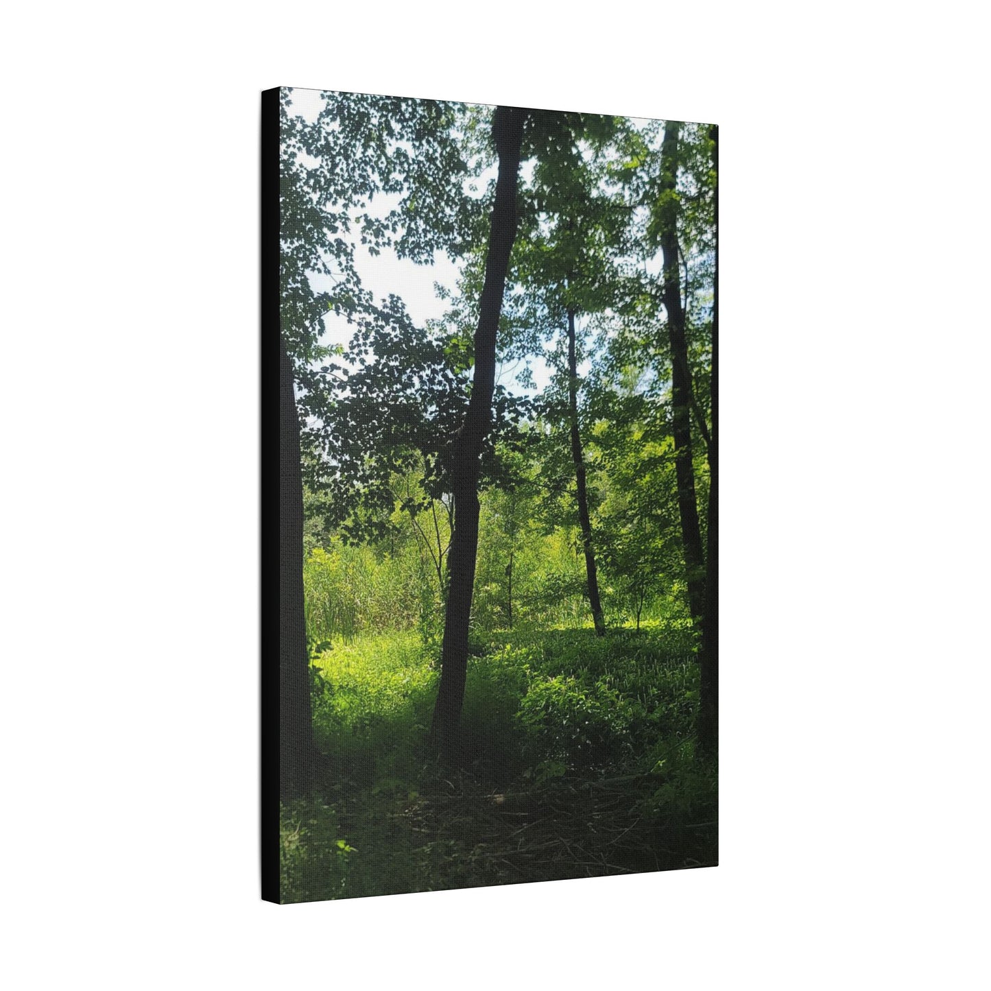 Scenic Canvas Wall Art - Nature-Inspired Home Decor, Forest Scene, Wall Hanging, Gift for Nature Lovers, Greenery Print