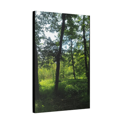Scenic Canvas Wall Art - Nature-Inspired Home Decor, Forest Scene, Wall Hanging, Gift for Nature Lovers, Greenery Print