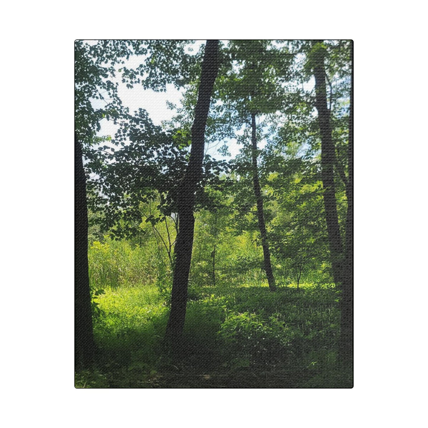 Scenic Canvas Wall Art - Nature-Inspired Home Decor, Forest Scene, Wall Hanging, Gift for Nature Lovers, Greenery Print