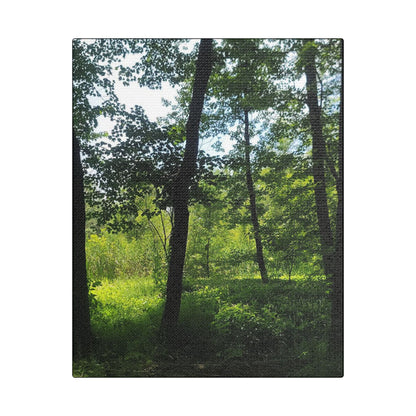 Scenic Canvas Wall Art - Nature-Inspired Home Decor, Forest Scene, Wall Hanging, Gift for Nature Lovers, Greenery Print