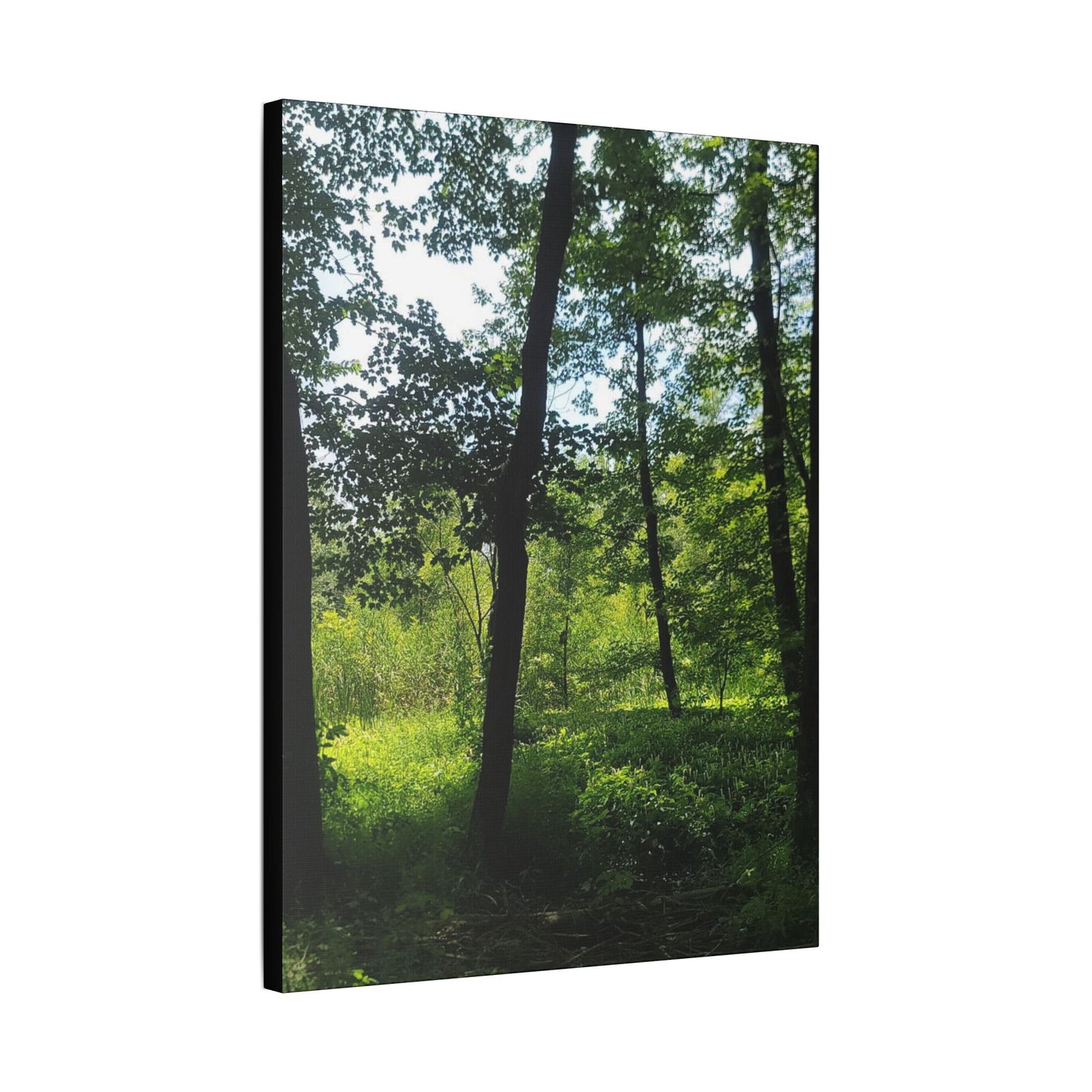 Scenic Canvas Wall Art - Nature-Inspired Home Decor, Forest Scene, Wall Hanging, Gift for Nature Lovers, Greenery Print