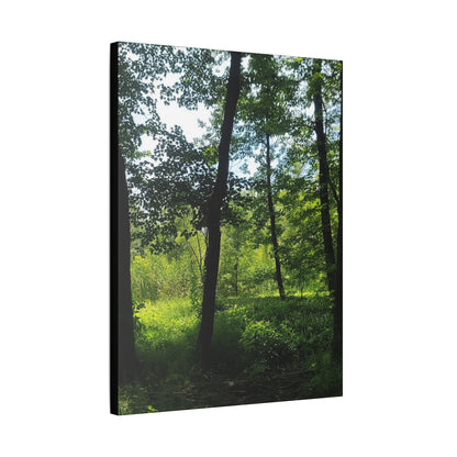 Scenic Canvas Wall Art - Nature-Inspired Home Decor, Forest Scene, Wall Hanging, Gift for Nature Lovers, Greenery Print