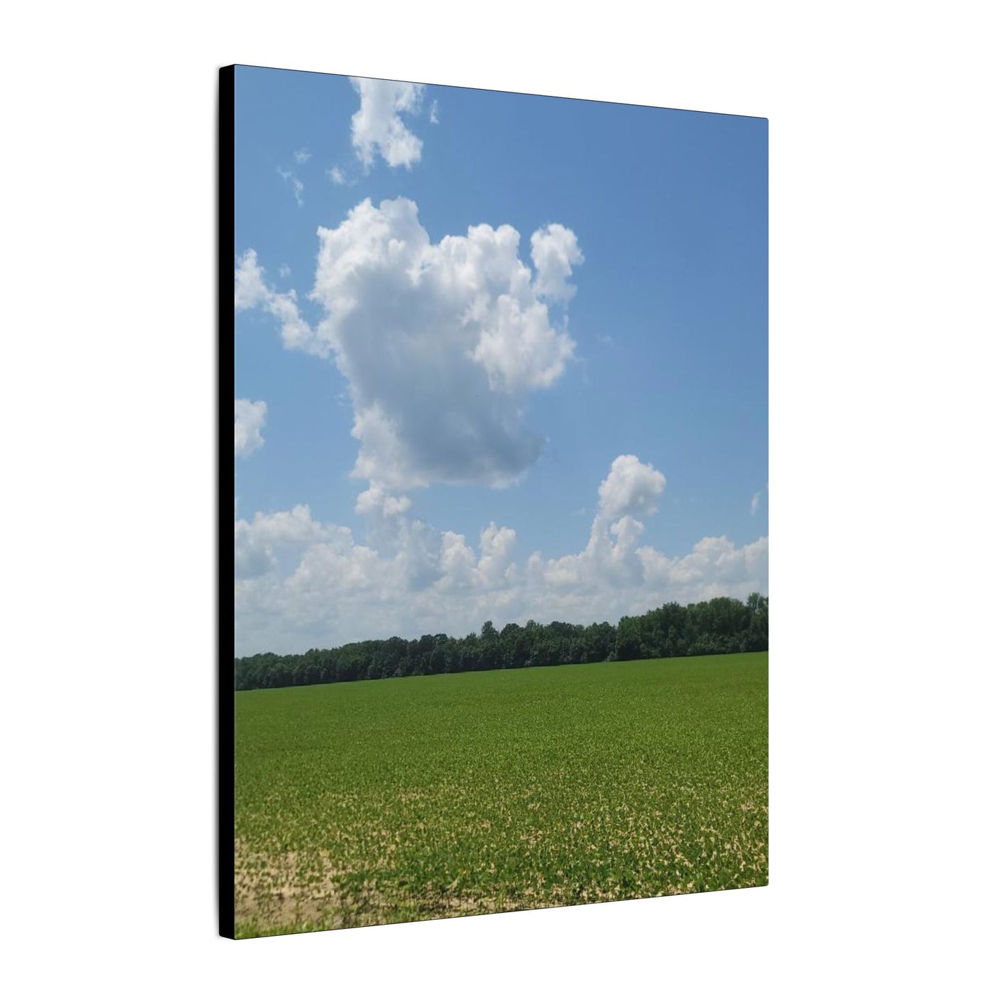 Serene Landscape Canvas Wall Art, Nature Decor for Home, Farmhouse, Gift for Nature Lovers, Rustic Wall Art, Living Room Decoration